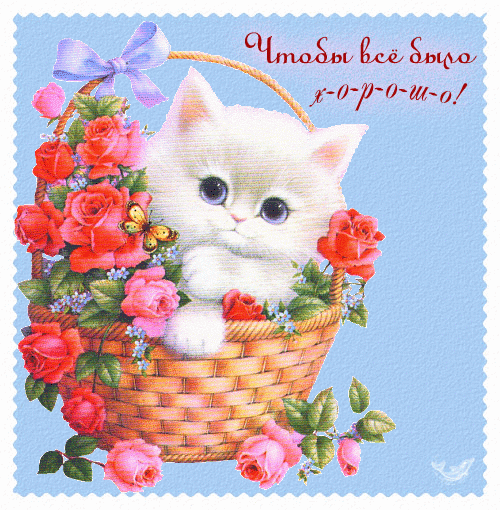 открытка
