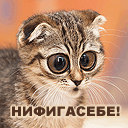 ОВСЯНКА С КУРИЦЕЙ курятинаааа
