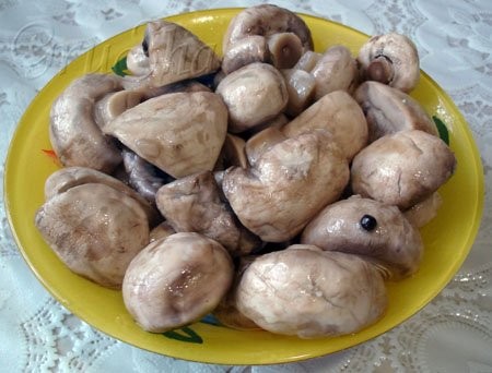 ДЕВОЧКИ, СТОЛЬКО ВСЕГО ВКУСНОГО - 2