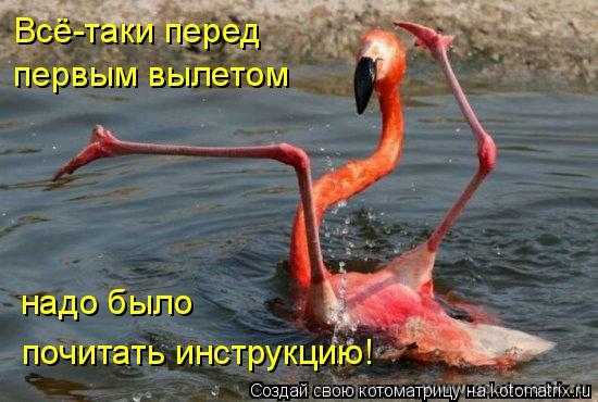 фламинго