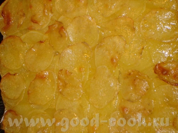 Pommes anna        - 3