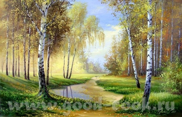березки