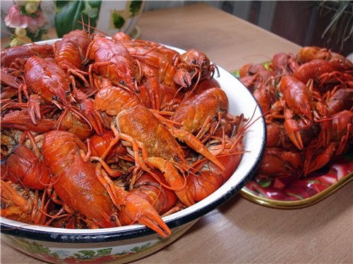   ,,  ,,           ... - 5