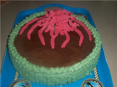 вот мой тортик ВУЛКАН,украшение получилось не такое как хотела,но вкусненький ,спасибо