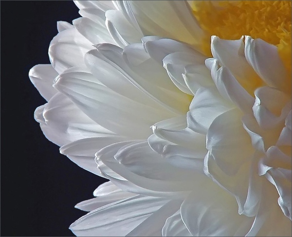 Девочки - 2