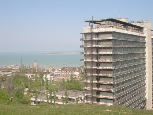 На горе растут вот такие цветочки - 3