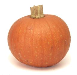 Зимние сорта : Желудевая тыква , ореховая тыква (acorn squash) - 9
