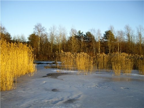   (   - )      (   ... - 5