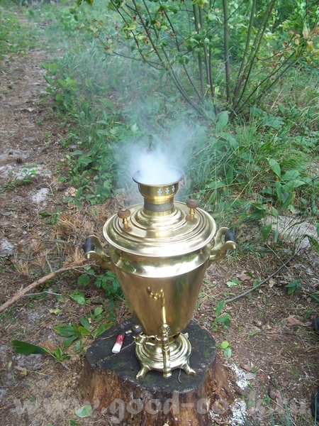 А это наш красавец
