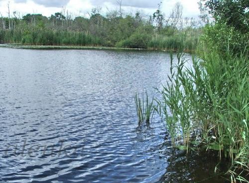 Далее,путь наш лежал в городок ALLERЁD
