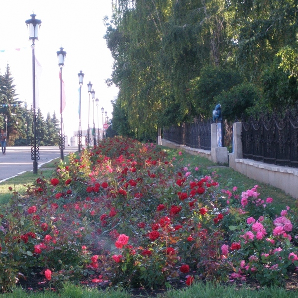 Мосты через Волгу - 4