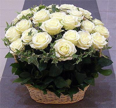 С Днем рожденья поздравляю, счастья, радости желаю