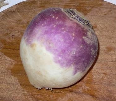    ""     -     , ... - 2