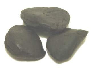 Клувак kluwak nuts = kluwak kupas Водяной орех water caltrop = horned water chestnut = Jesuit nut =...