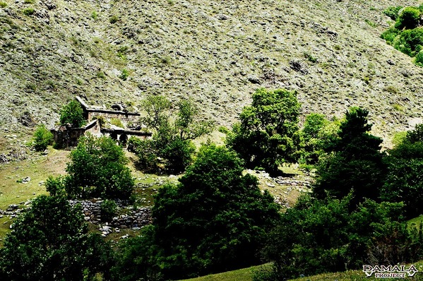Сделай фото сочнее