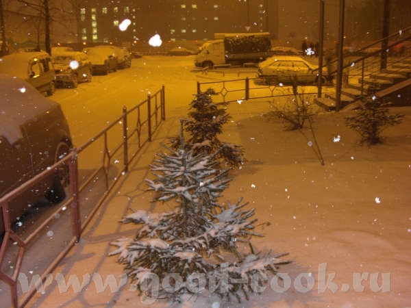 Алис, я тоже не люблю охоту