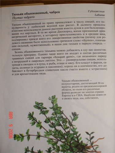 (Айрина @ 9 - 2