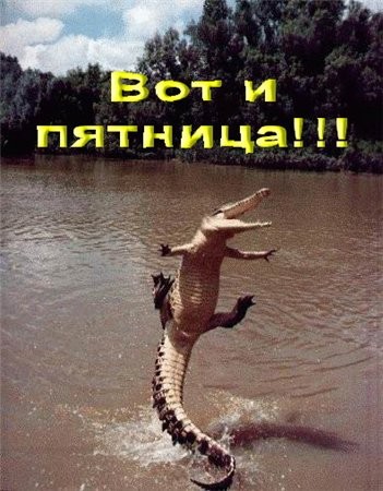 Девочки