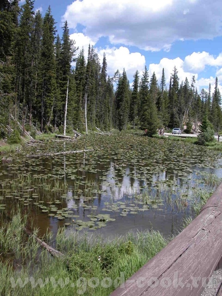    "Grand Teton"  &#39;  "Yellowstone" - 3