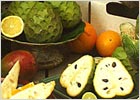 ЧЕРИМОЙЯ Черимойя - плодовое растение рода Annona (семейства Annonaceae)