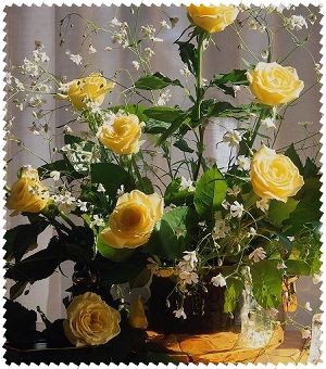 (Катерина @ 27