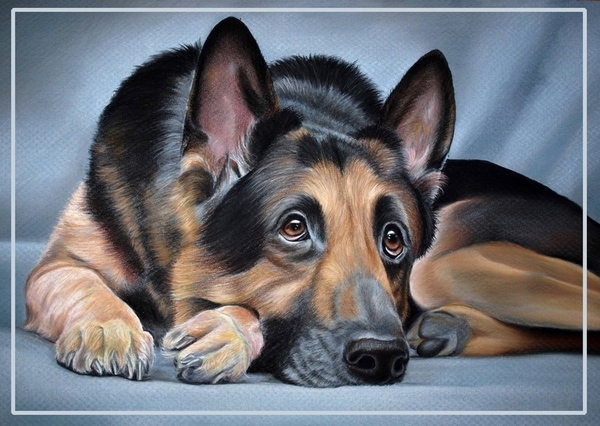  -  -----------------------------------------   -  ... - 7