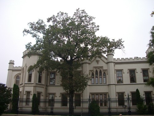Rita2 Wellington пaмятник в Дублине у нас Памятник Неизвестному матросу - 8