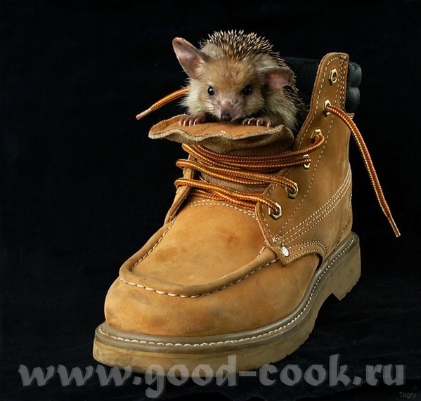 Я в шоке - 3