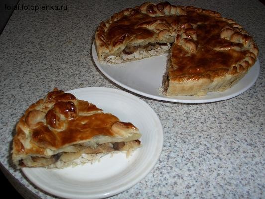 Девочки, не знаю куда поставить свой курник - 2
