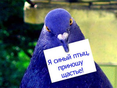 А вот ты открытку новогоднюю зажилила - бе-бе - 4