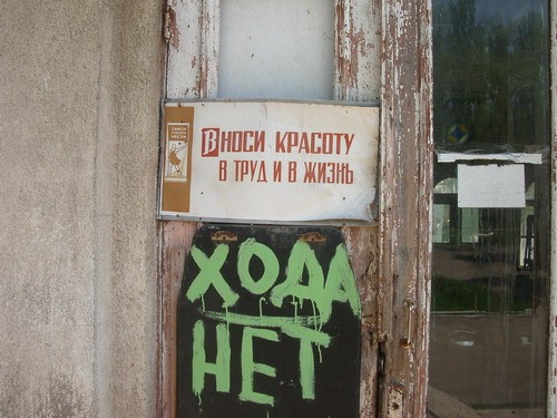 На горе растут вот такие цветочки - 6