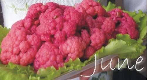 Предлагаю вкусную закуску, которая ещё и красиво смотрится на праздничном столе Маринованная цветна...