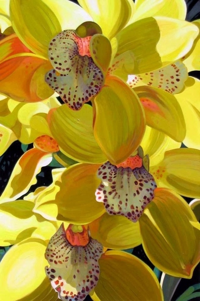      Venice Morning   -   ... - 8