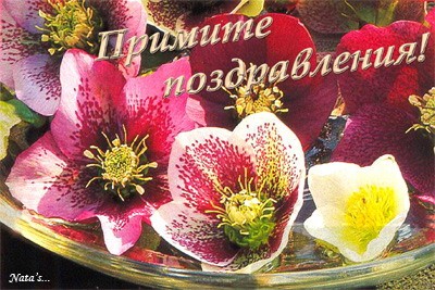 ПОЗДРАВЛЯЮ