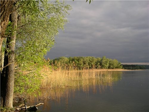 я в восторге