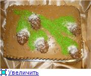 торт ветка с шишками торт елочка торт соник
