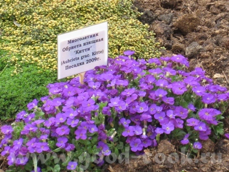 Привет, девулечки - 5