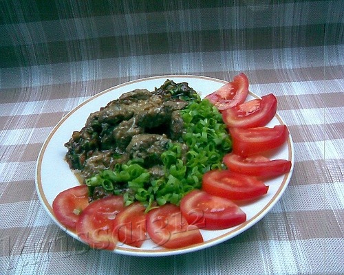 ЖАРКОЕ С ЛУКОМ И ЯБЛОКАМИ 1,2 кг говядины 2 крупных луковицы 2 яблока кислых сортов 0,5-1 ст