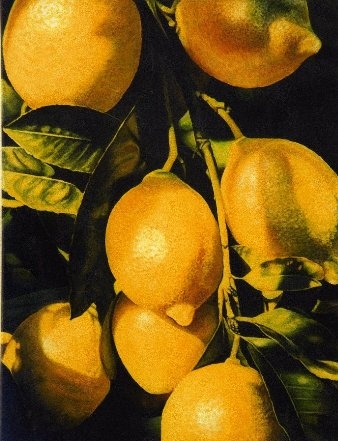 наткнулась на цветочки маслом Walter Gessl из Австрии - 2