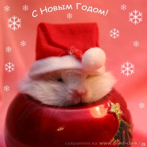 Привет Всем