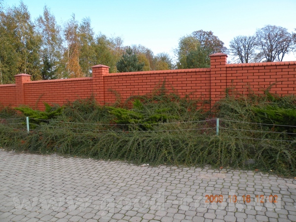 лен да хотела еще поделать фотки, да погодка подкачала, ну парочку еще покажу