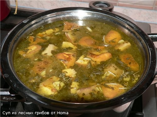 Девы, пост на дворе
