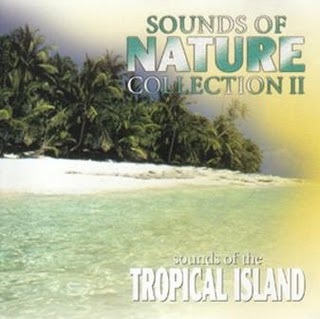 Dan Gibson&#39;s Solitudes - Tahiti - Voices of Paradise New Age | Mp3 | 320 kbps | 151 Mb | 2008 T... - 5