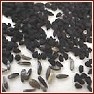 ,     ,   ,   "Kalonji black onion seed"   ... - 2