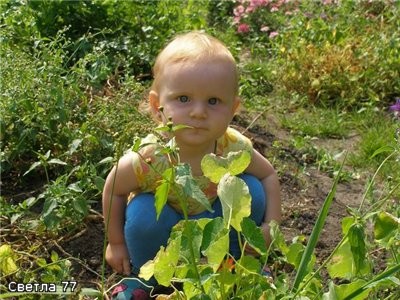 Это Ариша в огороде в деревне под Брянском