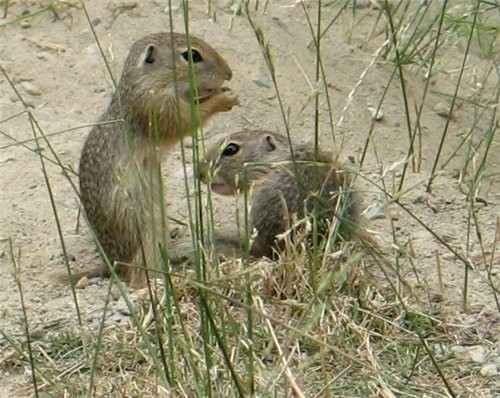 ...---... !  ,    ! ..  - !