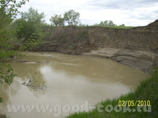 Степная речка, затерявшаяся в песках - 3
