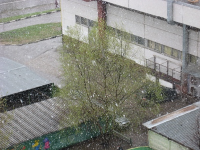 Ну вото что это за весна Пока жаловалась, вышло солнце