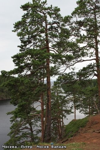 А тут просто без комментариев ……… - 6