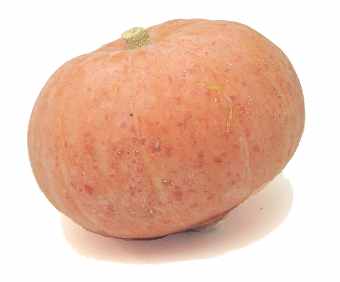 Зимние сорта : Желудевая тыква , ореховая тыква (acorn squash) - 6